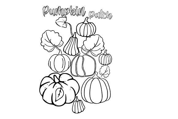 Pumpkin Coloring Page 2: A Premium Seasonal ClipArt Asset