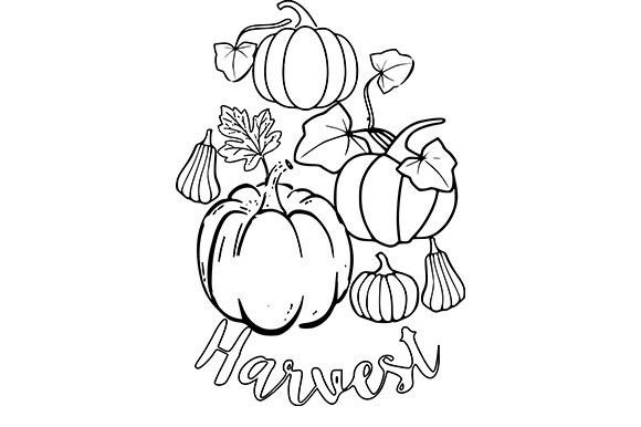 Unlocking Creativity with Pumpkin Colouring Page 3